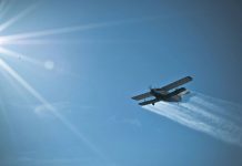 Acțiune de dezinsecție la Târgu-Jiu