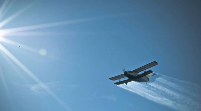 Acțiune de dezinsecție la Târgu-Jiu