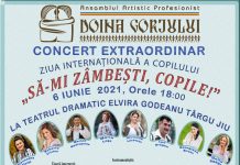 Duminică, spectacol extraordinar al Ansamblului Doina Gorjului