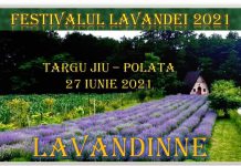 O nouă ediție a Festivalului Lavandei!