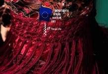 Spectacol în centrul municipiului Târgu Jiu