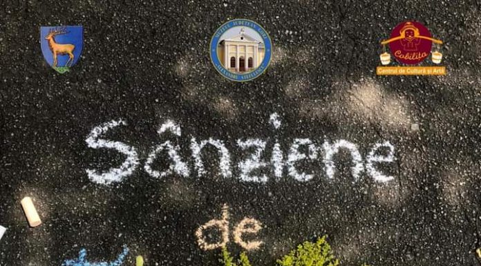 „Sânziene de asfalt”, la Muzeul de Artă din Târgu Jiu