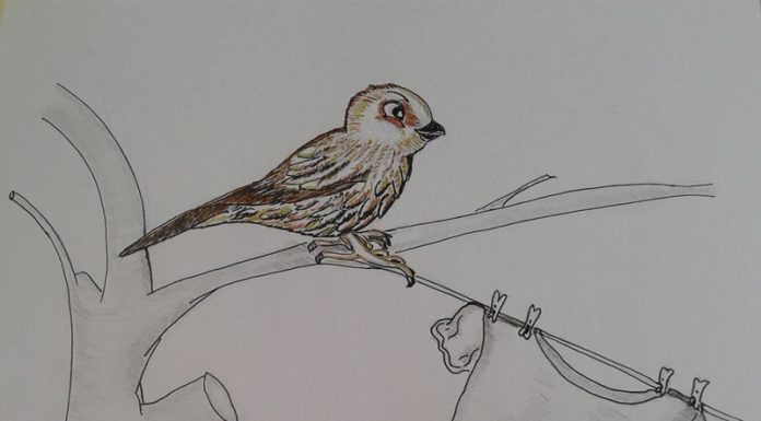 Povestiri din grădină: Țopăiuță Vrăbiuța dă de necaz