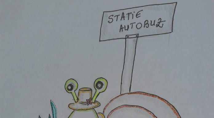 Povestiri din grădină: Călătorie cu surprize