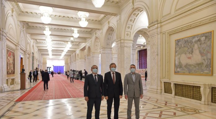 PSD a votat „pentru”!