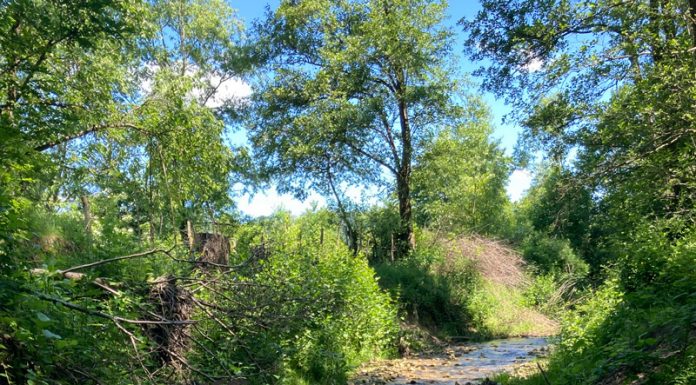 Alunecare de teren la Polovragi, pericol de inundații la ploi puternice!