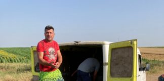 Castraveți aruncați cu tonele pentru că nu au putut fi vânduți cu zero lei!