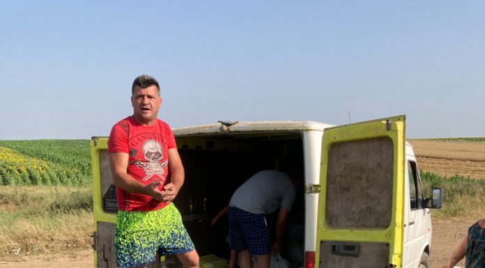 Castraveți aruncați cu tonele pentru că nu au putut fi vânduți cu zero lei!