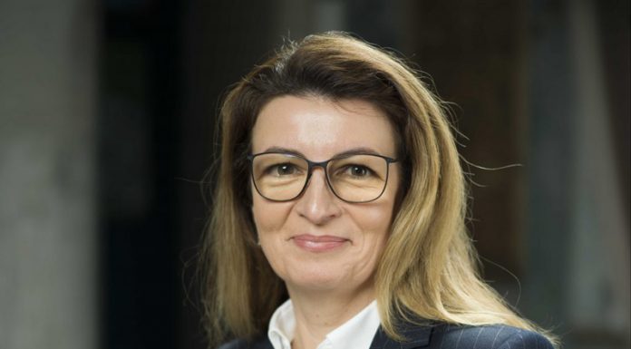 CEO devine acţionar MINORITAR în viitoarele societăți mixte de energie regenerabilă!