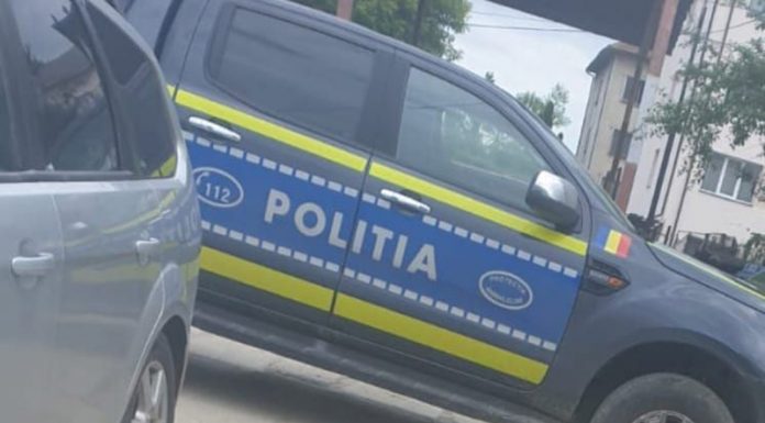 Poliția Animalelor, în control la adăpostul canin al DP Motru! Zece câini, eutanasiați ilegal