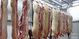 Abator din Târgu-Jiu, sancționat cu 12.000 de lei