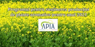 Ultimele 2 zile de înscriere în Programul pentru susținerea producției de plante aromatice
