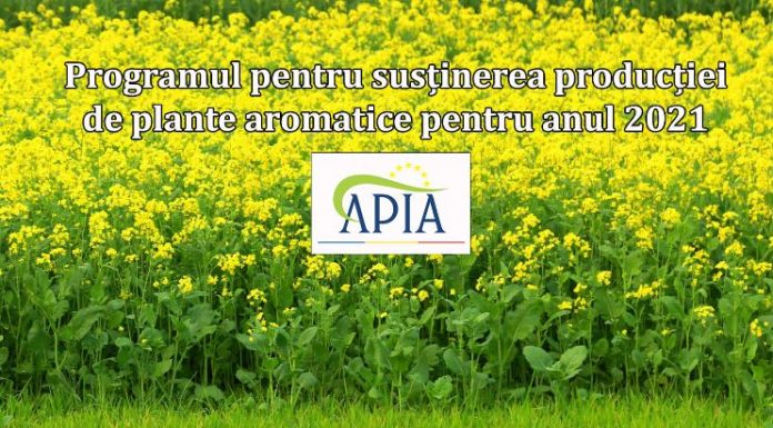 APIA: 30 iunie, termen pentru înscrierea în programul de ajutor de minimis pentru producția de plante aromatice