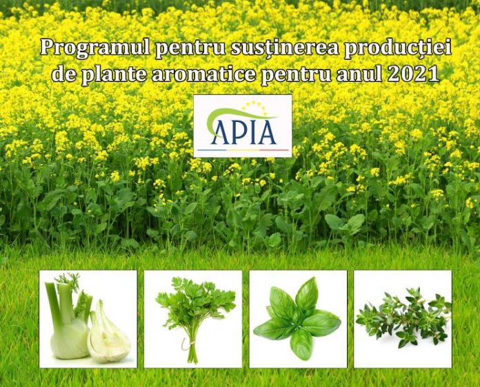 afis plante aromatice