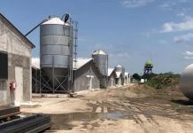 Amendă de 100.000 de lei pentru ferma de păsări din Brănești