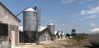 Amendă de 100.000 de lei pentru ferma de păsări din Brănești