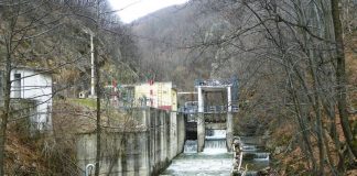 Estivale – Pe Şuşiţa Verde și Sohodol