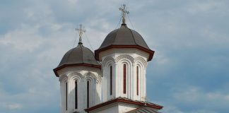 Filosofi şi sibile în firidele exterioare ale „Bisericii Domneşti” din Târgu-Jiu