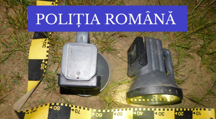 Indivizi din Olt, prinşi în flagrant! Tranşau o căprioară în pădurea din Logreşti!