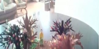 Festivalul – concurs „CDIdei în cărți”, ediția 2021