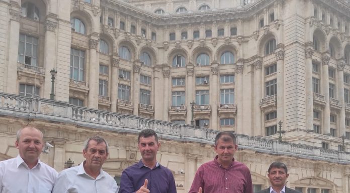 Reducerea vârstei de pensionare cu 13 ani, a fost votată!