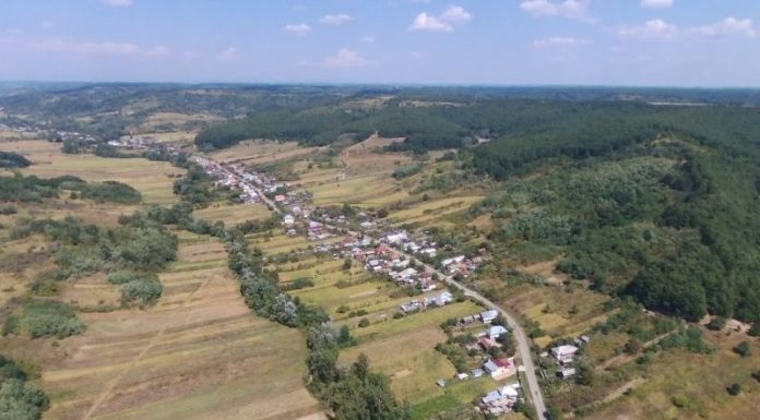 Trei poduri noi în comuna Dănciulești