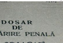 Vindea erbicid fără autorizaţie