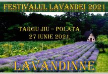 Concert de muzică clasică, în cadrul Festivalului Lavandei de la Polata