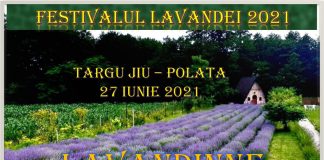 Concert de muzică clasică, în cadrul Festivalului Lavandei de la Polata