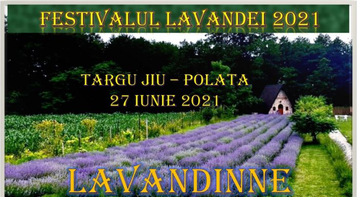 Concert de muzică clasică, în cadrul Festivalului Lavandei de la Polata