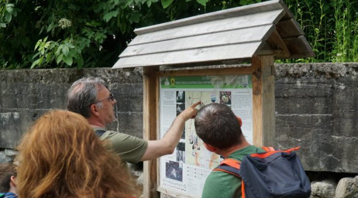 Aplicație practică a profesorilor de geografie din Gorj