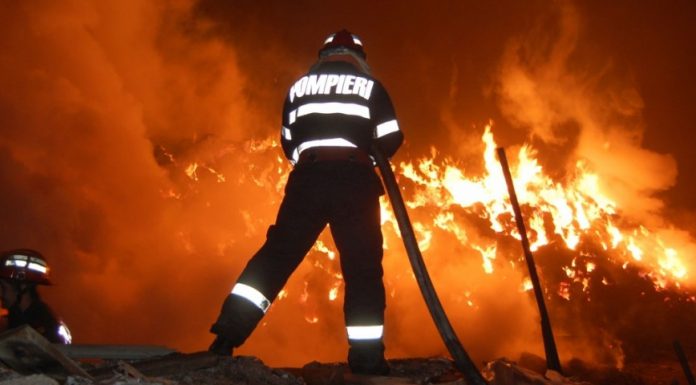 Novaci: Incendiu de vegetație, extins și la pădure! Voluntarii, alături de pompieri