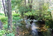 Estivale – Ținutul izvoarelor gorjene