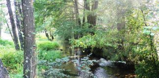 Estivale – Ținutul izvoarelor gorjene