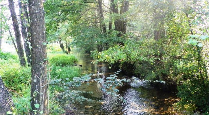 Estivale – Ținutul izvoarelor gorjene