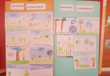 Ziua mondială a mediului, marcată de APM Gorj la mai multe unități de învățământ din Gorj