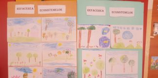 Ziua mondială a mediului, marcată de APM Gorj la mai multe unități de învățământ din Gorj