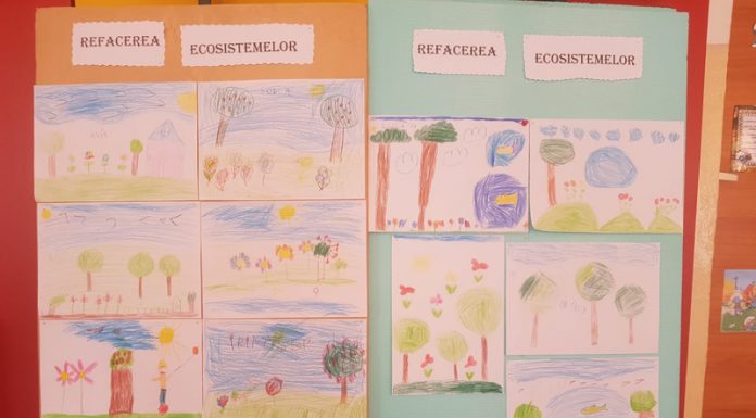 Ziua mondială a mediului, marcată de APM Gorj la mai multe unități de învățământ din Gorj