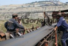 Greenpeace susține proiectul de lege pentru pensionarea mai devreme a minerilor și energeticienilor