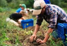 30 iunie, termen pentru zilieri să solicite ajutorul COVID-19