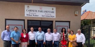 Rujan și Weber, cabinete parlamentare la Tismana