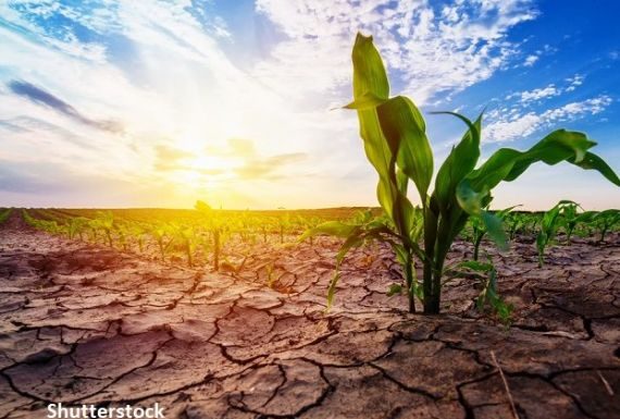 ONU prevesteşte o nouă „pandemie”!