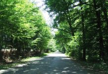 Estivale – Sub poale de Vâlcan