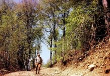 ODATĂ CU LUNA LUI CUPTOR – Pe Dâlma Cucutelor, spre bordul Dobriţei