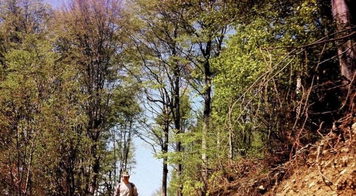 ODATĂ CU LUNA LUI CUPTOR – Pe Dâlma Cucutelor, spre bordul Dobriţei