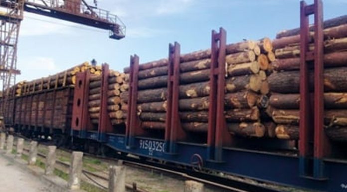 S-a înființat Garda Forestieră Națională