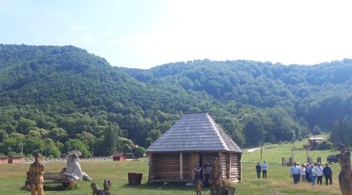 S-a deschis tabăra de sculptură de la Polovragi