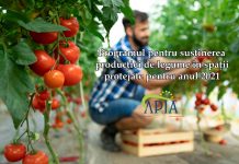 Continuă înscrierile în Programul pentru susținerea producției de legume în spații protejate pentru anul 2021