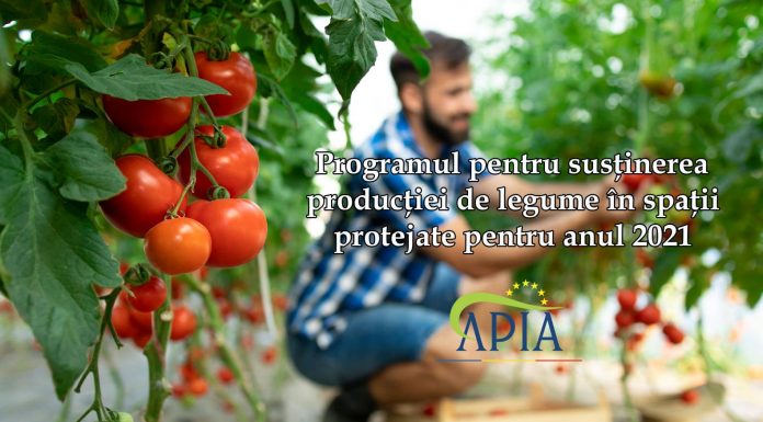 Continuă înscrierile în Programul pentru susținerea producției de legume în spații protejate pentru anul 2021