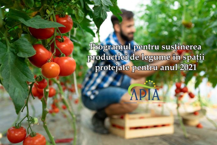 212523678_2481019028708361_4943583911363919066_n